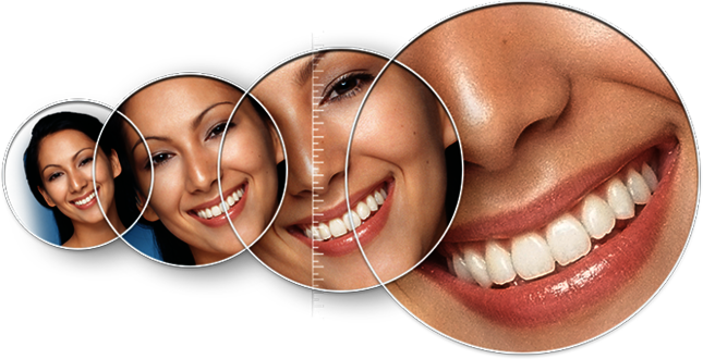 Header, small circle image Header, small circle image